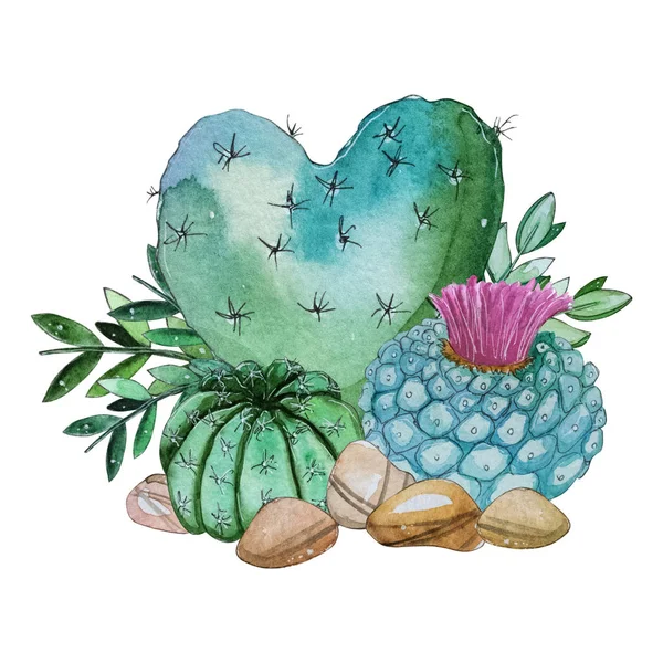 Aquarelle Peinte Main Composition Végétale Cactus Clipart Aquarelle Fleur Individuelle — Photo