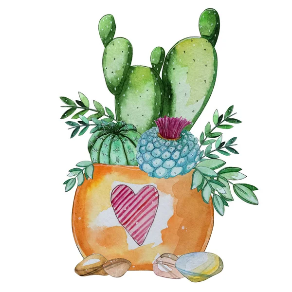 Aquarelle Peinte Main Composition Végétale Cactus Clipart Aquarelle Fleur Individuelle — Photo