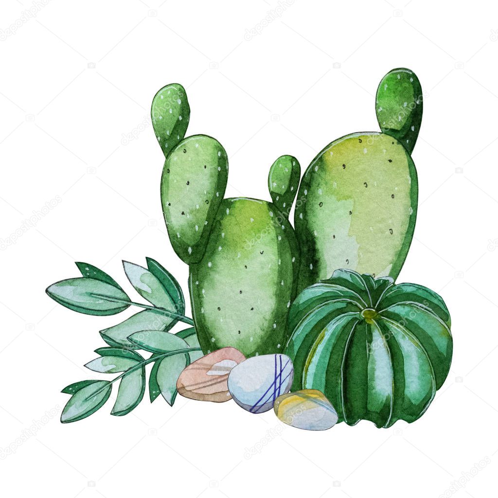 Watercolor handpainted cactus plant composition.Watercolor clipart,individual flower isolated on white background.Perfect for Your project,cover,wallpaper,pattern,gift paper,wedding