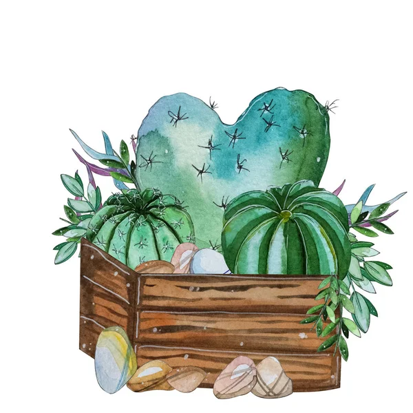 Aquarelle Peinte Main Composition Végétale Cactus Clipart Aquarelle Fleur Individuelle — Photo