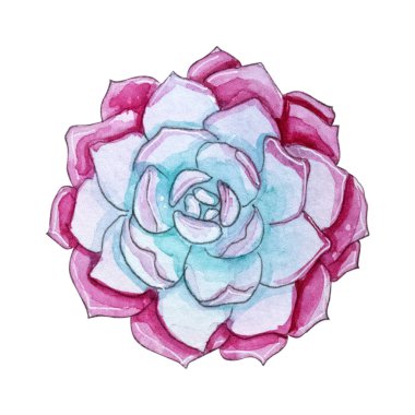 Suluboya succulents bitkiler. Beyaz arka plan üzerinde izole Handpainted iclipart. Dünya etli ve kaktüs toplama. Benzersiz tasarım için mükemmel
