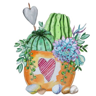 Suluboya handpainted etli bitki kompozisyon. Suluboya clipart, bireysel çiçek beyaz arka plan üzerinde izole. Proje, kapak, duvar kağıdı, model, hediye kağıt, düğün için mükemmel