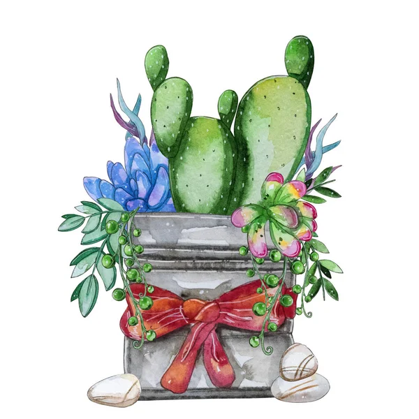 水彩手绘多汁植物组成 水彩剪贴画 在白色背景查出的各自的花 完美的适合您的项目 礼品纸 — 图库照片