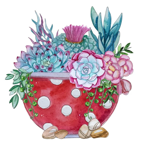 Ręcznie Malowane Akwarela Kompozycja Roślin Soczyste Akwarela Clipart Indywidualne Kwiat — Zdjęcie stockowe