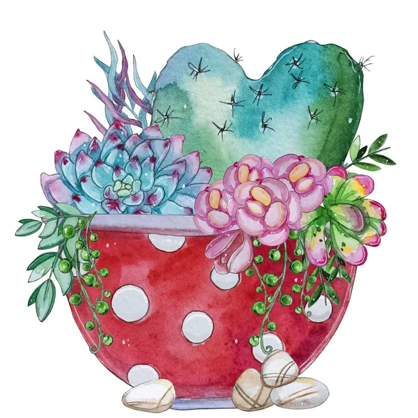 Akvarell Kézzel Festett Pozsgás Növény Összetétele Akvarell Clipart Egyéni Virág — Stock Fotó