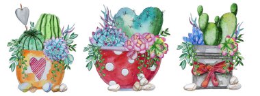 Suluboya handpainted kaktüs ve etli bitki, pot ve çakıl taşları dizi. Suluboya clipart, bireysel çiçek beyaz arka plan üzerinde izole. Proje, kapak, duvar kağıdı, model, hediye kağıt, düğün için mükemmel