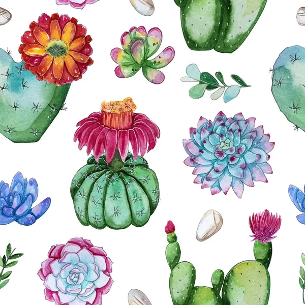Akvarell Kézzel Festett Varrat Nélküli Mintát Virágzó Kaktusz Növény Akvarell — Stock Fotó