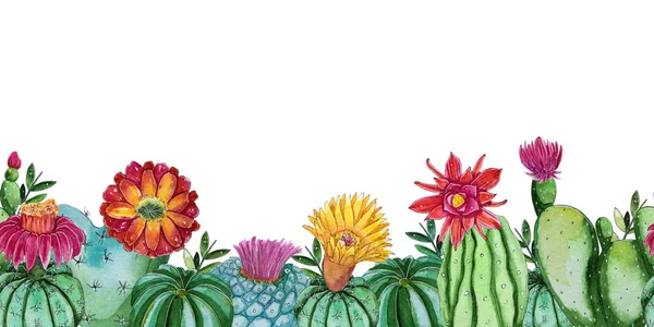 Modèle Plantes Cactus Fleurs Aquarelle Belle Carte Avec Place Pour — Photo