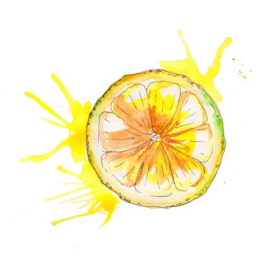 Beyaz arka plan üzerinde izole suluboya handpainted sulu limon. Suluboya clipart, limon ve lekeleri. Mükemmel, proje, kapak, duvar kağıdı, model, hediye kağıt, düğün, davet, buketler için