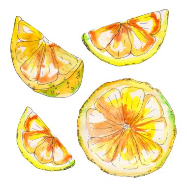 Beyaz arka plan üzerinde izole suluboya handpainted sulu limon. Suluboya clipart, limon. Mükemmel, proje, kapak, duvar kağıdı, model, hediye kağıt, düğün, davet, buketler için