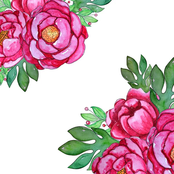Akvarell rózsaszín bazsarózsa virágok sablon. — Stock Fotó
