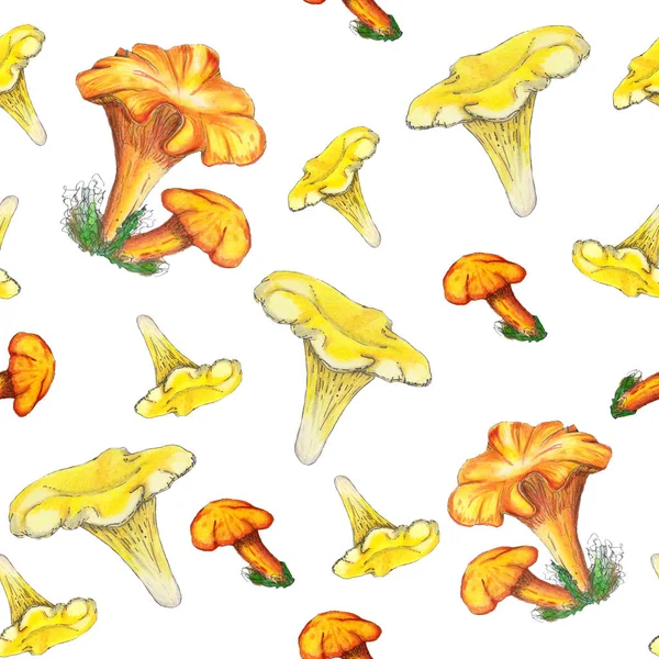 Akvarel bezešvný vzor s houbami. — Stock fotografie