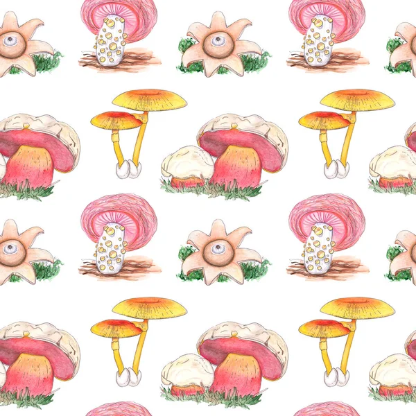 Акварель бесшовный узор с грибами грибов — стоковое фото