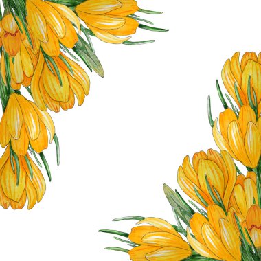 Suluboya şablon bahar çiçekleri / el boyalı.