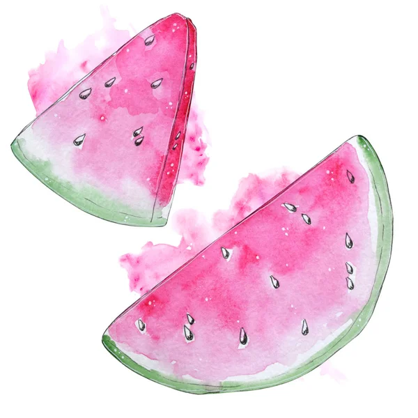Handbemalte Aquarell-Wassermelone. — Stockfoto