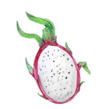 El boyaması suluboya meyve.