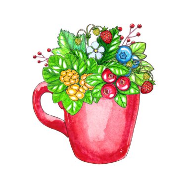 El boyalı watecolor illüstrasyon çilek ve beyaz arka plan üzerinde izole kırmızı fincan yaprakları ile. Tasarım, davetiyeler, kartlar, logo ve diğer projeler için mükemmel