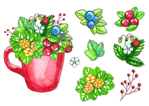 Handgemalte Wasserfarben Illustration Mit Beeren Und Blättern Roter Tasse Isoliert — Stockfoto