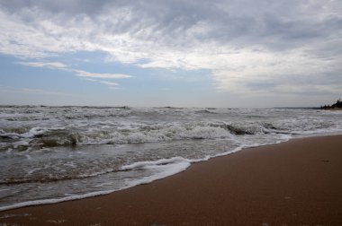 Azak Denizi'nin yaz kıyısında.