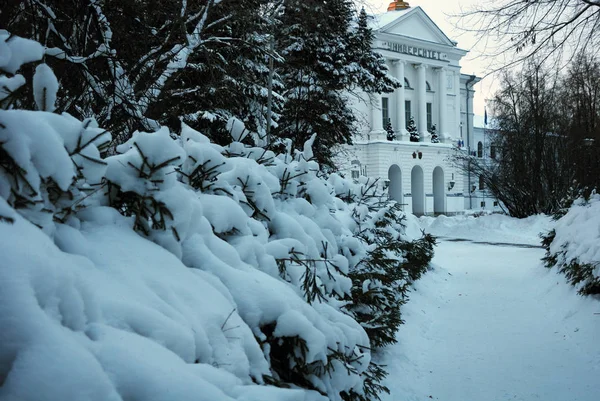 Üniversitesi'nde eğitim. Tomsk. Siberian.Winter