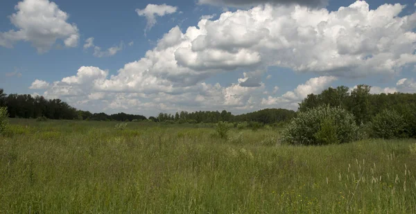 Rus bölge doğası.