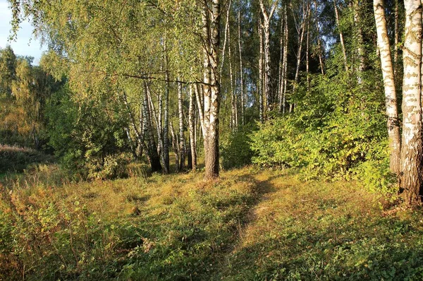 Die Schönste Und Malerischste Zeit Des Jahres — Stockfoto