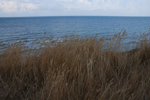 Azak Denizi tatil çekmek.