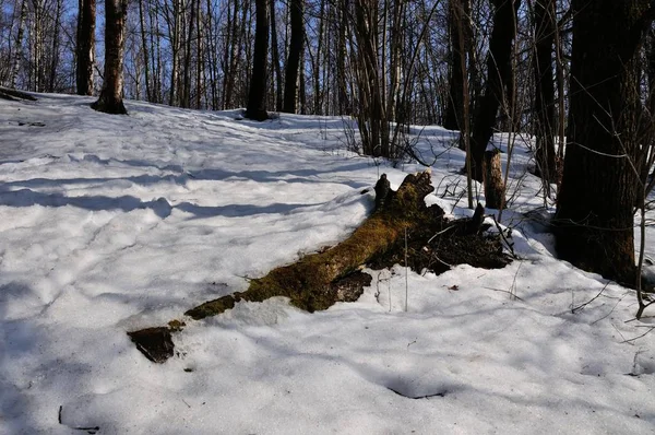 Winter Der Bauer Atmet Auf — Stockfoto