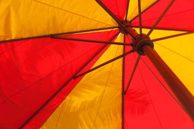 Kırmızı ve sarı tente botanik bahçesinde bir palmiye yaprağı karşı