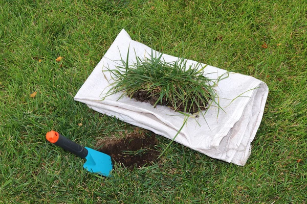 Garden Trowel Planting Hole Peace Lawn Prepared Lawn Restoration Autumn — Stock Photo, Image