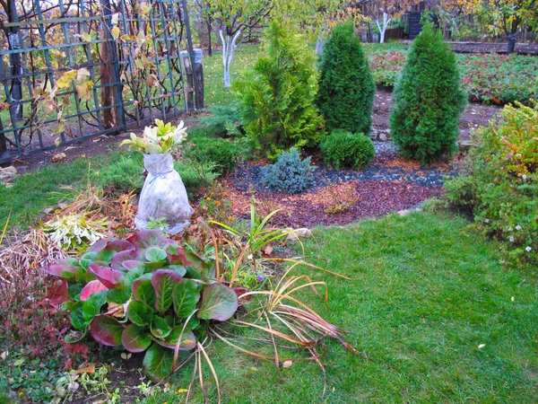 Herfst Tuin Samenstelling Van Cultivar Bomen Struiken Bloemen — Stockfoto