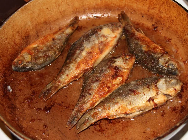 Bir tavada carps havuz kızartma