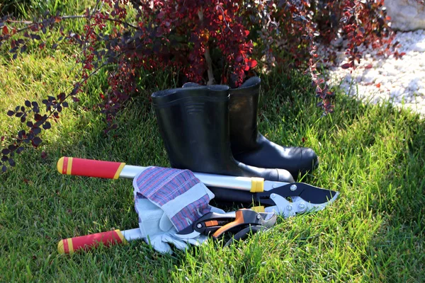 Lopper, Bahçe secateurs, deri eldiven ve lastik çizmeler sonbahar bahçede budama meyve ağaçları için hazırlanan'ın bahçesinde