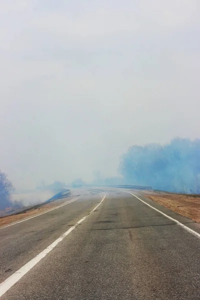 Asfalt yol duman bir yanan orman