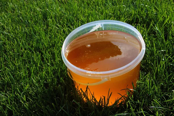 Plastik kova biçilmis çim üzerinde taze toplanan bitkisel bal ile