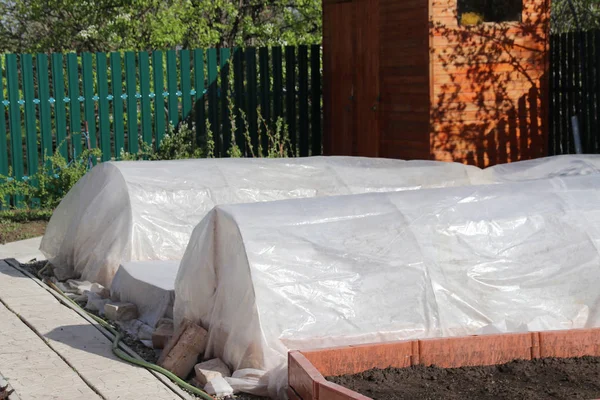 Vegetable Patches Seedlings Covered Spunbond Polyethylene Film Keep Humidity Ground — Stock Photo, Image