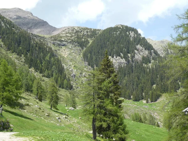 Szczyt Opoka Panorama Pejzaż Wysokie Góry Południowej Europie Włochy Tyrol — Zdjęcie stockowe