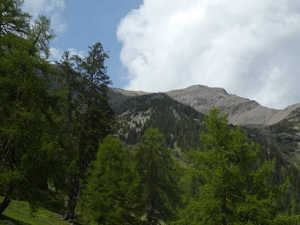 Gipfelfelsenpanorama Landschaft Der Berge Südtirol Italien Europa — Stockfoto