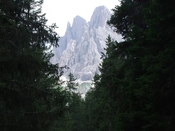 Top Rock Panorama Landschap Van Hoge Bergen Zuid Tirol Italië — Stockfoto