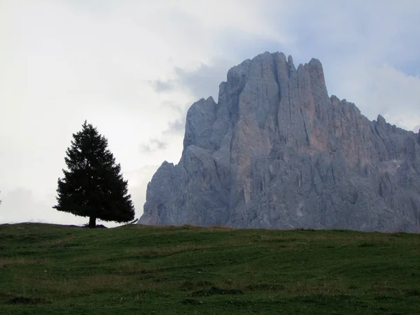 Toppmötet Rock Panorama Landskap Med Höga Berg Södra Tyrol Italien — Stockfoto