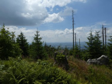 manzara mavi bulutlar gökyüzü ağaçları orman vahşi doğa ile Bavyera Ormanı