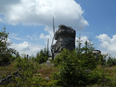 Avrupa Almanya'da Bavyera Ormanı peyzaj büyük kaya