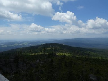 Panorama Manzara Bavyera Ormanı