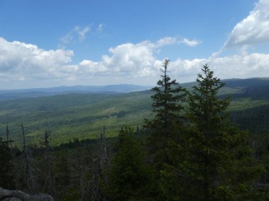 Panorama Manzara Bavyera Ormanı