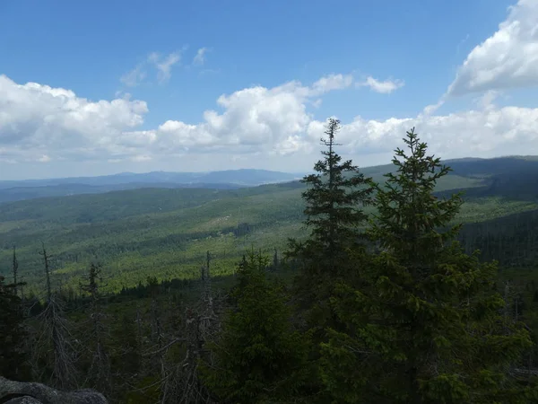 Panoramalandschaft Des Bayerischen Waldes — Stockfoto