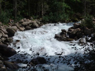 Avusturya dağlarında yabani akışı taş kayalar