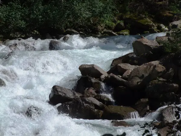 在奥地利岩石岩石山的野生流 — 图库照片