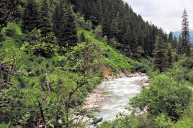 Taş taş manzara ile Avrupa'nın Avusturya dağlarında yabani akışı