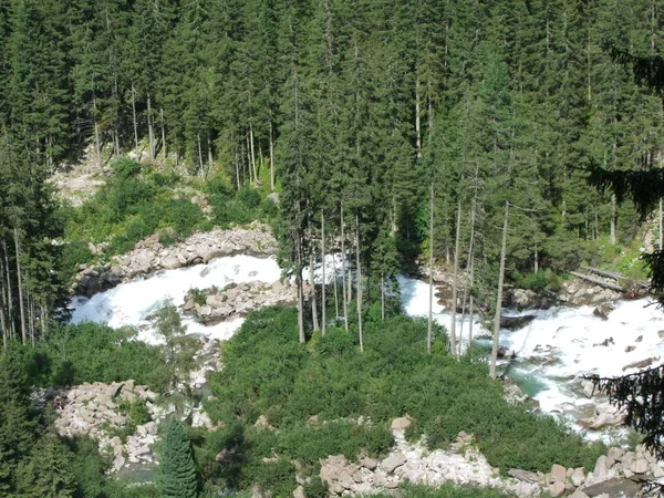 Arroyo Salvaje Las Montañas Austria Piedra Roca Europa — Foto de Stock