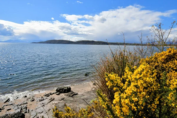 Lago Paisagem Escócia Highlands Céu Azul Nuvens Água Seabuckthorn Arbusto — Fotografia de Stock
